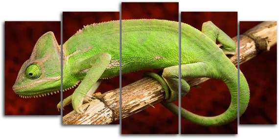 Модульная картина "Хамелеон"