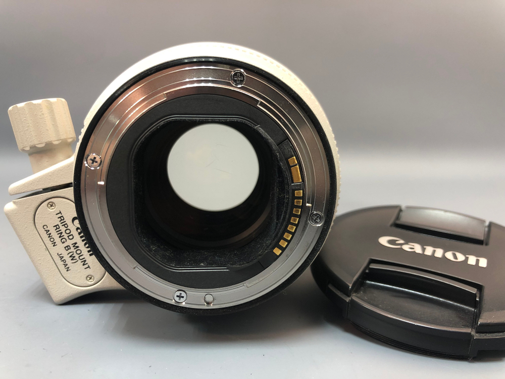 Canon 70-200mm f/2.8 L IS II USM