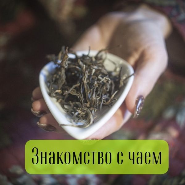 Знакомство с чаем