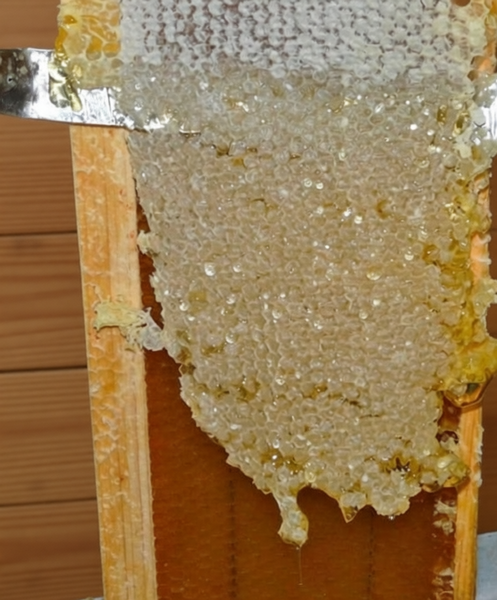 Срез забруса