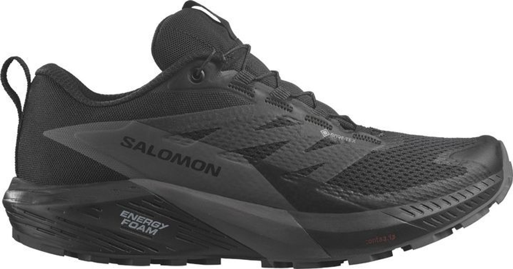 Ботинки Salomon SENSE RIDE 5 GTX