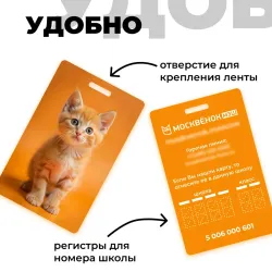 Карта Москвёнок CATS №5 (проход + питание)