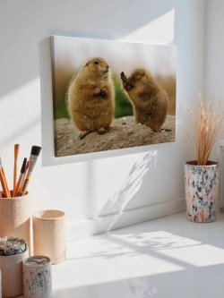 Картина на стену 40 X 50 Суслики