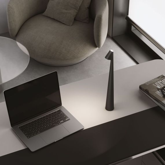 Настольная лампа Elektrostandard Elite TL70250 a068070