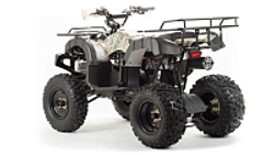 Квадроцикл PROMAX ATV 250 (2025)