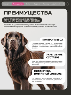 Корм сухой для взрослых собак породы Ньюфаундленд, премиум полнорационный комплекс, с говядиной, 12 кг, QUATTRO