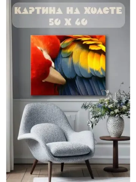 Картина на стену 40 X 50 Попугай