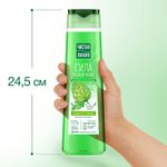 Шампунь-бальзам 2 в 1, 400 мл, ЧИСТАЯ ЛИНИЯ "Экстракт хмеля", Сила и блеск