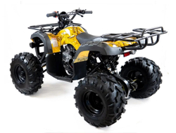 Квадроцикл MOTAX ATV Grizlik-8 125
