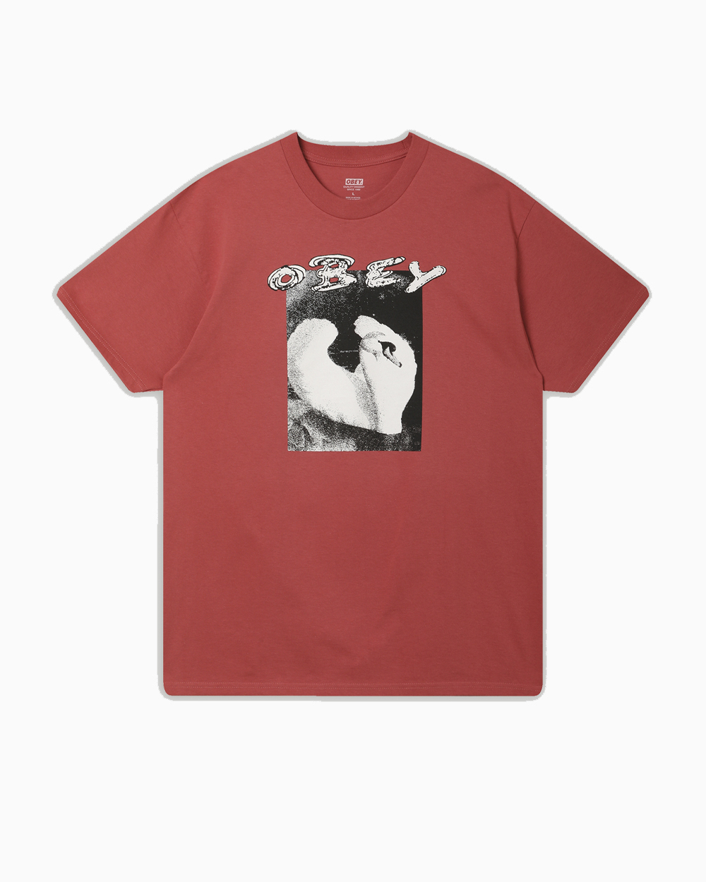 Футболка Obey Swan