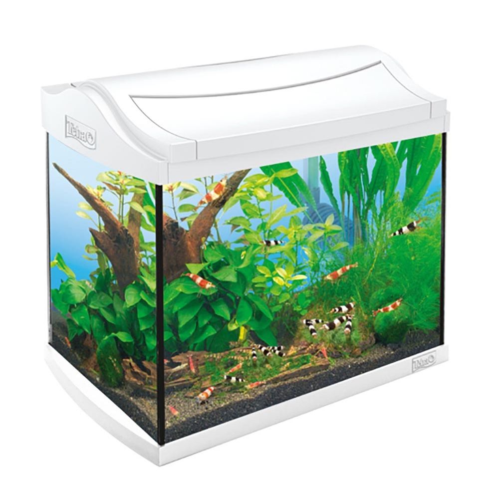 Tetra AquaArt Shrimp Discover Live 20 л (белый) - прямоугольный аквариум со светом и фильтром для креветок