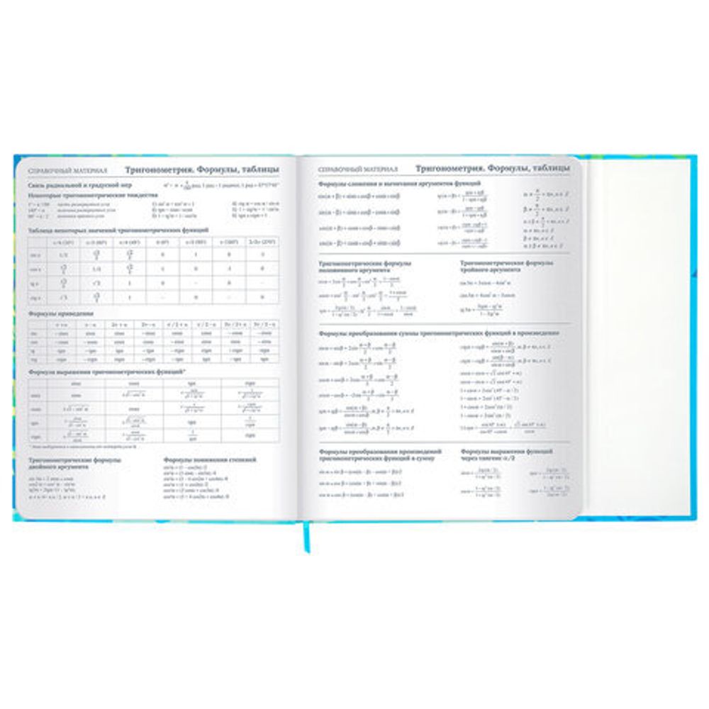 Дневник 1-11 класс 48 л., твердый, BRAUBERG, матовая ламинация, магнитный клапан, закладка-ляссе, с подсказом, "Котик", 107244