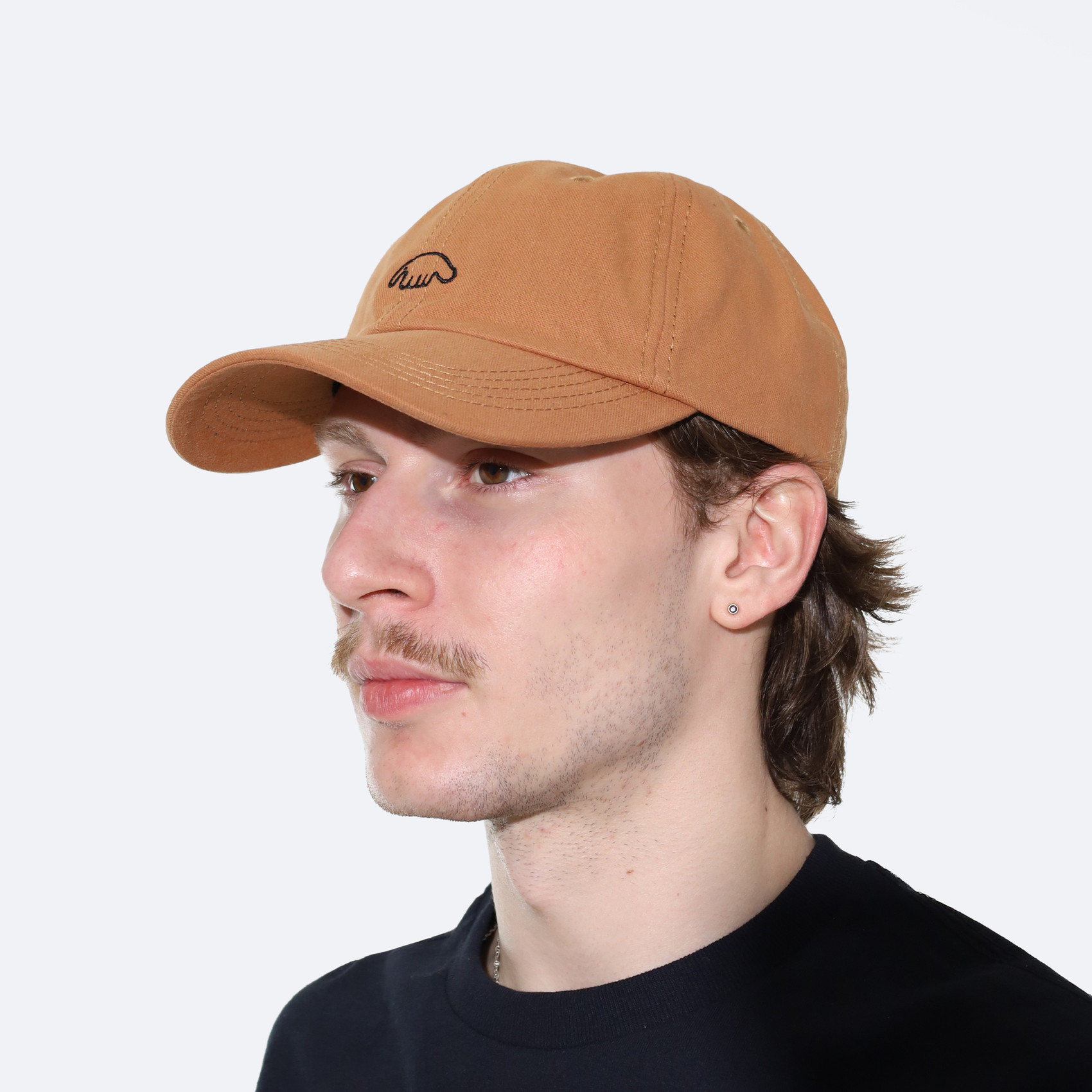 Кепка Anteater 6Panel (sand) артикул: - купить в магазине Дайс