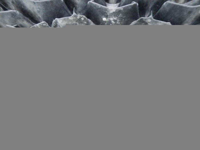 DSCN9083.jpg