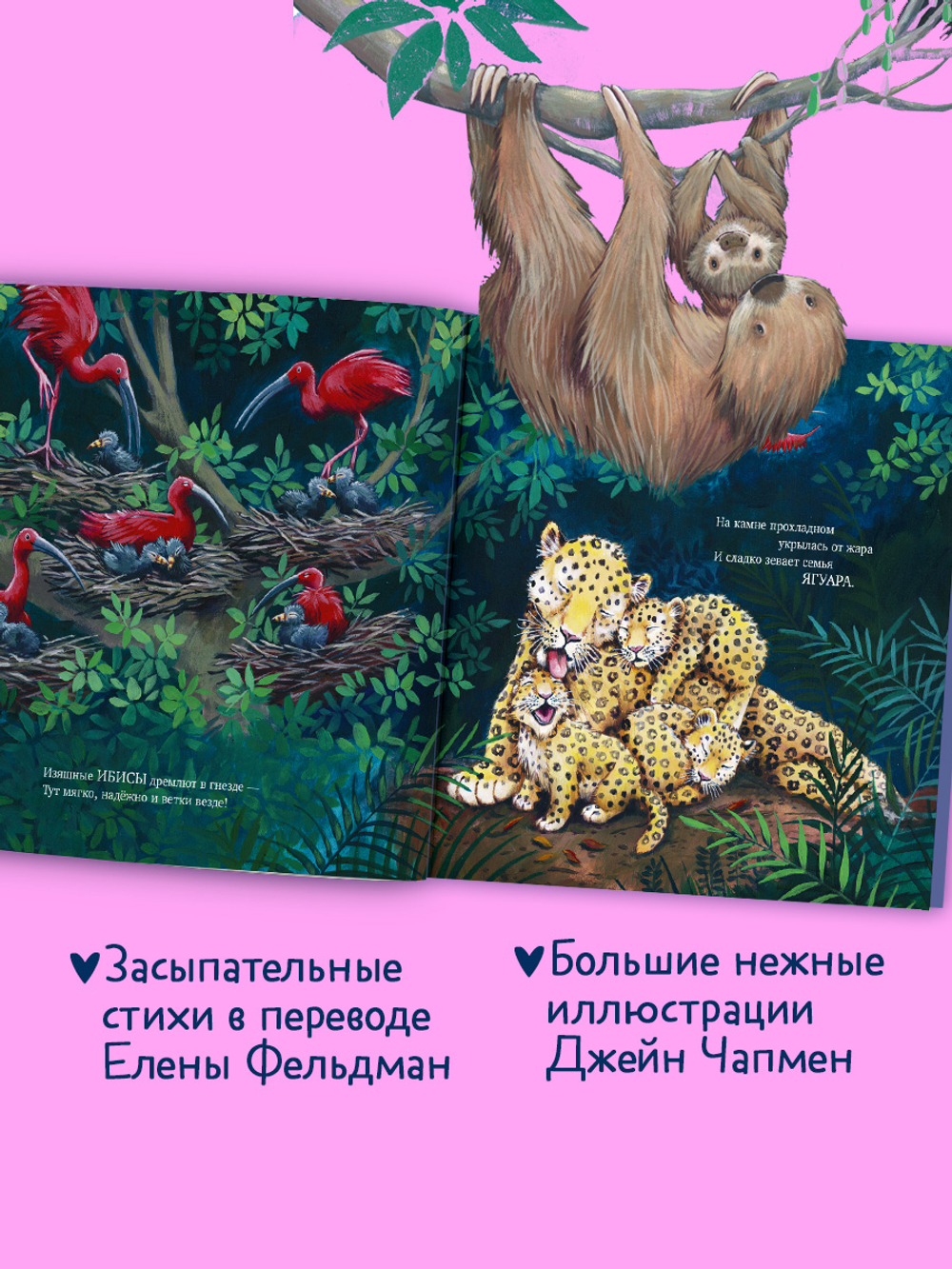 Книжки-картинки. Сладких снов, мой малыш!