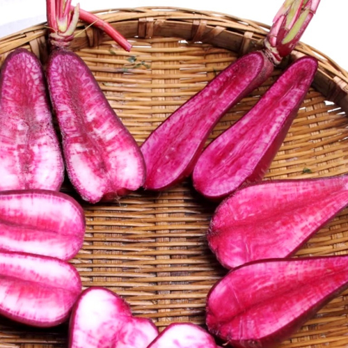 Сычуаньская красная редька лоба Фулин - 四川红心萝卜 - Sìchuān hóngxīn luóbo