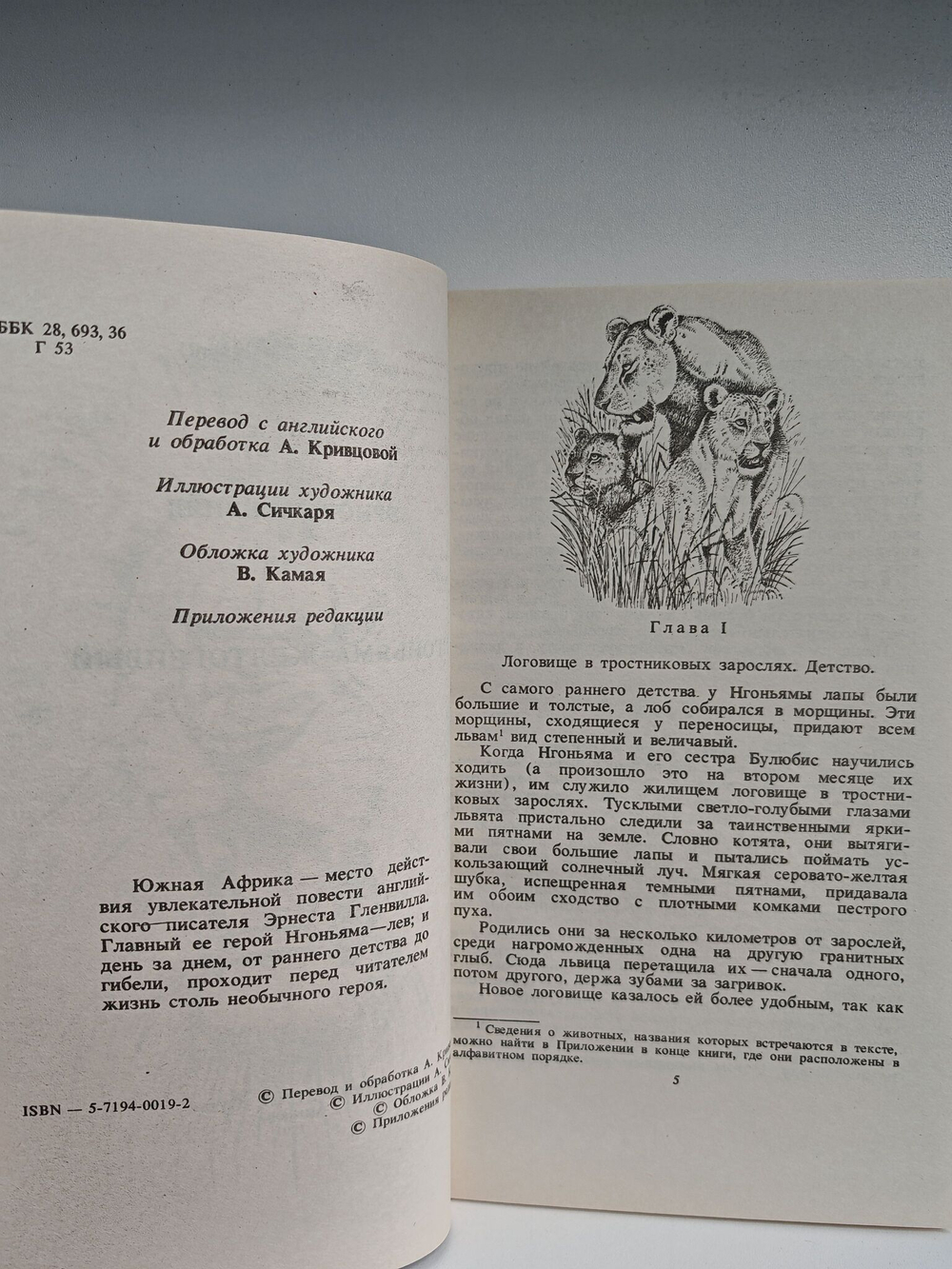 Нгоньяма Желтогривый