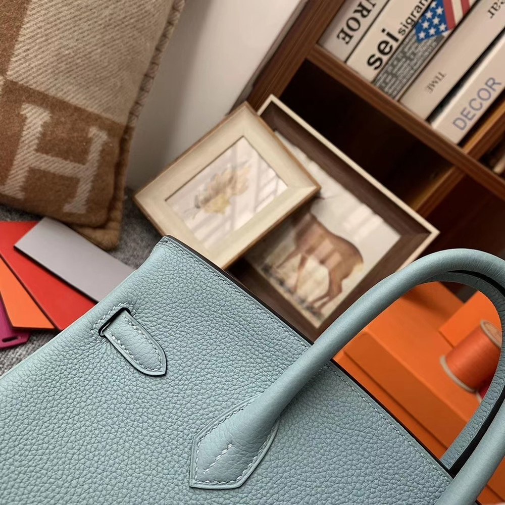 Hermes Birkin 25