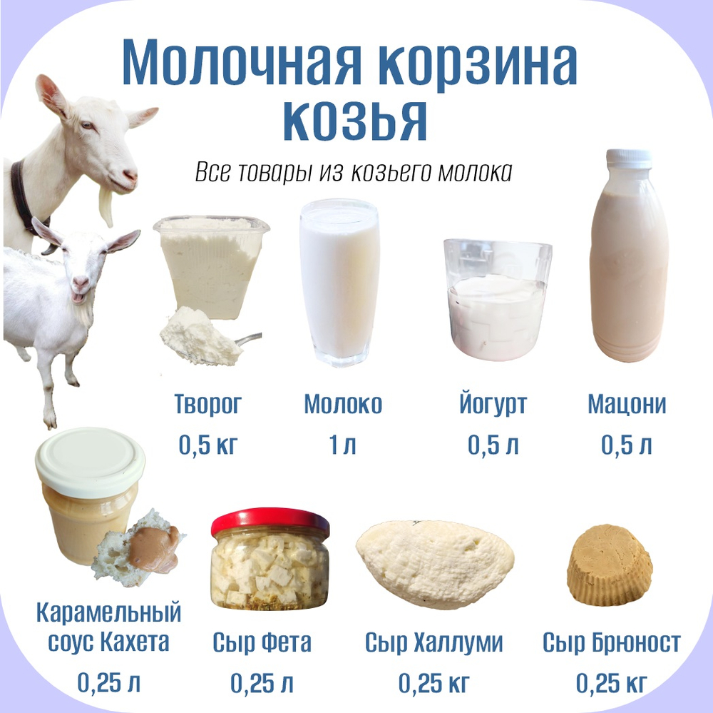 Молочная корзина козья