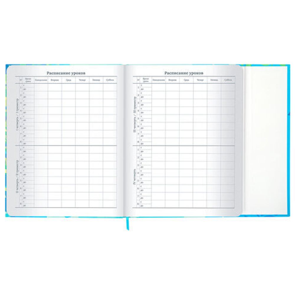 Дневник 1-11 класс 48 л., твердый, BRAUBERG, матовая ламинация, магнитный клапан, закладка-ляссе, с подсказом, "Котик", 107244