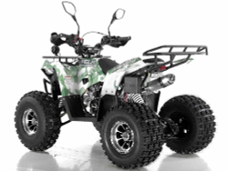 Квадроцикл WELS Thunder 125 Lux