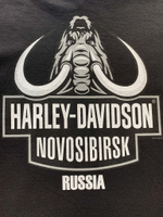 Футболка Harley-Davidson -70 %