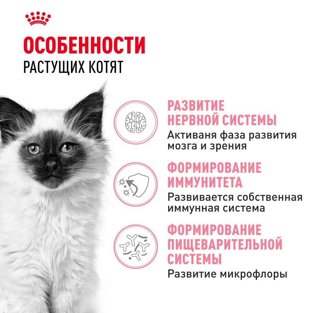 Сухой корм Royal Canin Kitten для котят в период второй фазы роста до 12 месяцев Сухой корм Royal Canin Kitten для котят в период второй фазы роста до 12 месяцев