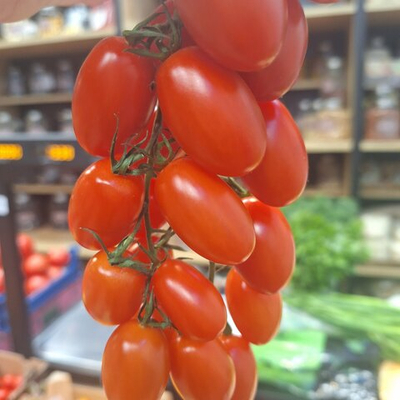 Томат Черри сливовидный на ветке