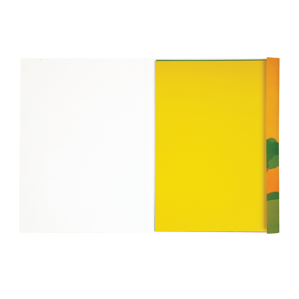 Картон цветной "Приключения Енота" А4, 10л., 10цв., чистоцеллюлозный, в папке