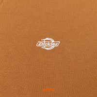  Толстовка мужская Dickies Summerdale Sweatshirt Brown Duck артикул:DK0A4Y6Q0BD - купить в магазине Дайс