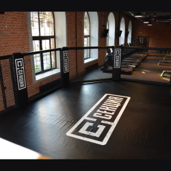 Секция/Ограждение ММА Fighttech