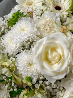 Символ чистоты *