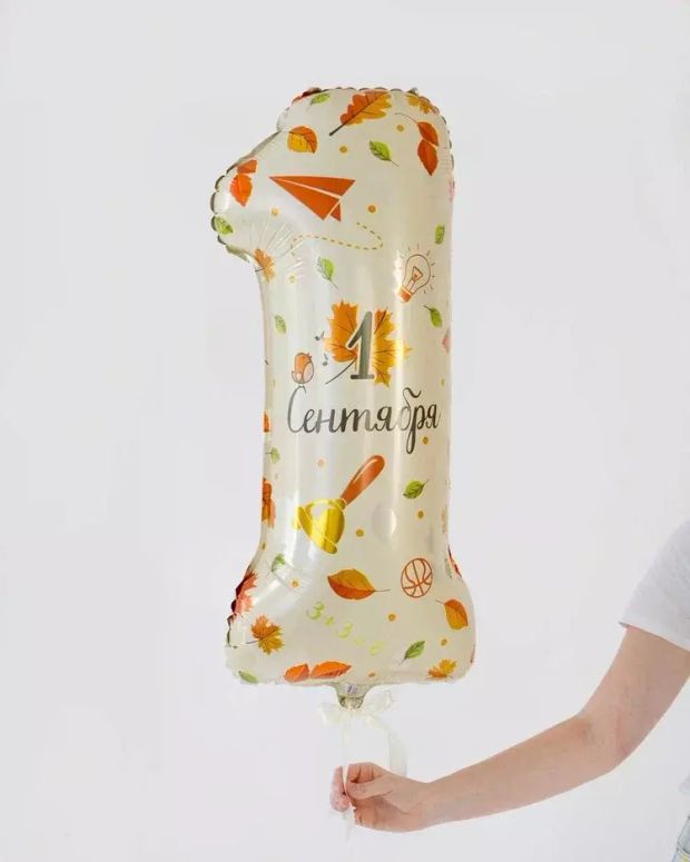 Шар Цифра 1 сентября (БГ-45)
