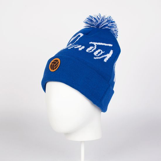 Шапка  ЗАПОРОЖЕЦ Football BLUE