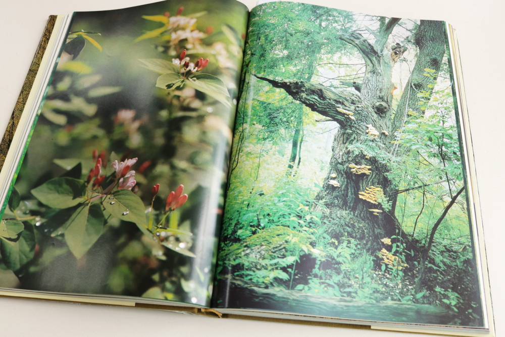 Мещерская сторона