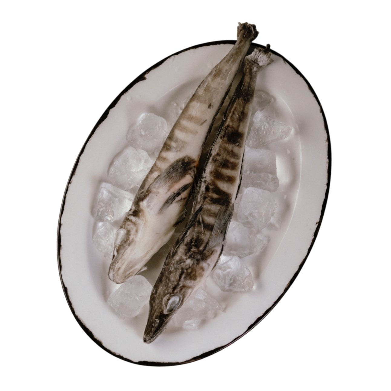 Ледяная с/м