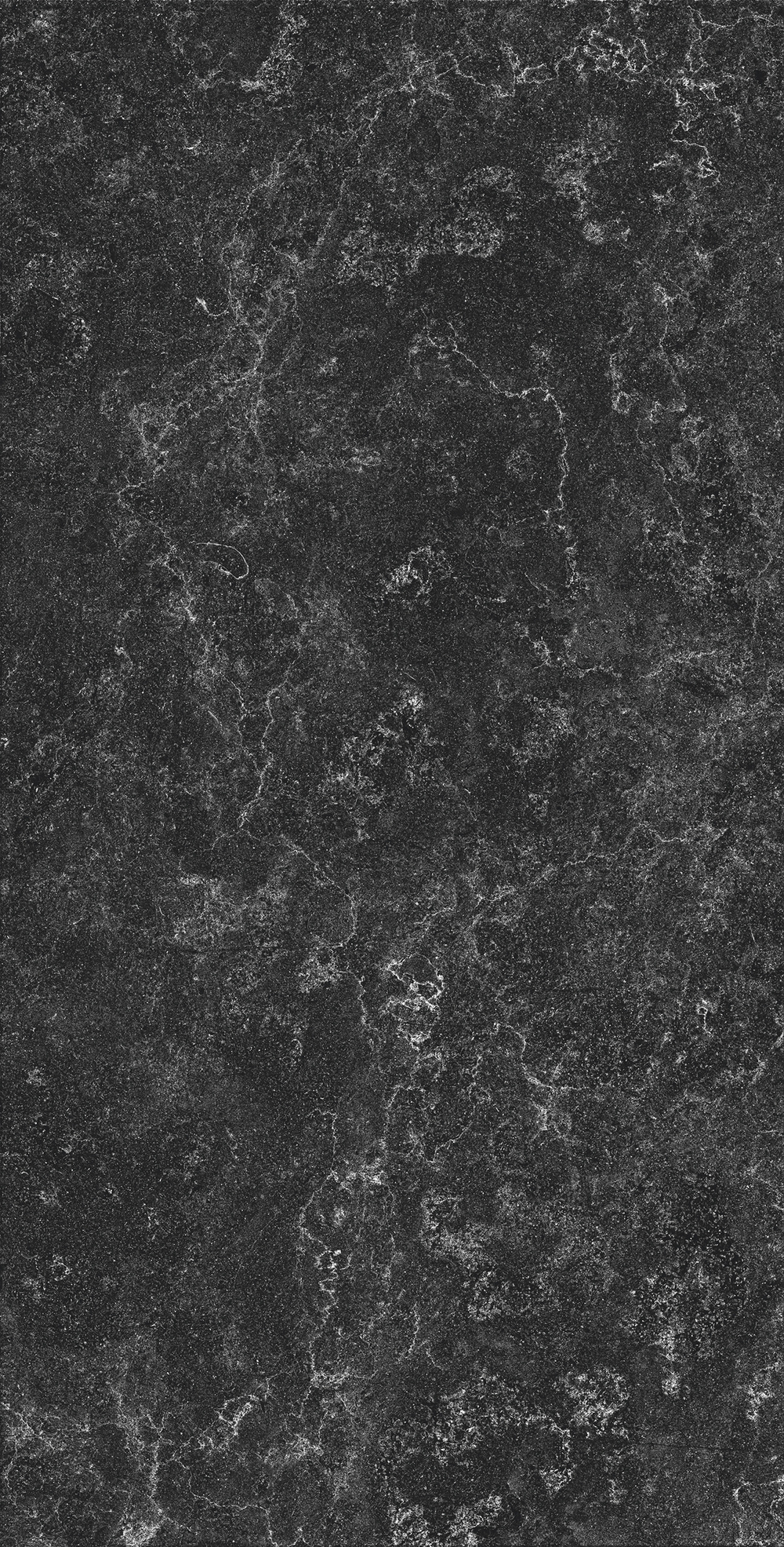 Керамогранит, Creanza, PALATINO NERO, 1200x600 мм, матовая с глянцевым эффектом