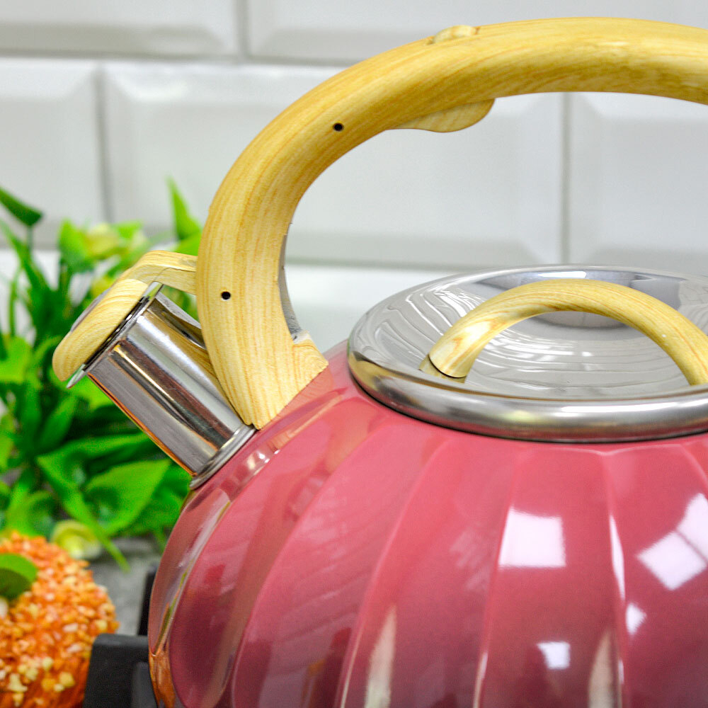 Чайник 3л со свистком, индукция, двухцветный, красно-черный