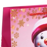 Пакет подарочный «Волшебный снеговик» 26*32*10 см, микс