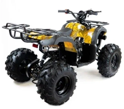 Квадроцикл MOTAX ATV Grizlik 7 110 cc