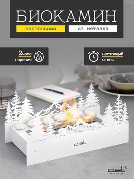 Биокамин настольный "Taiga"