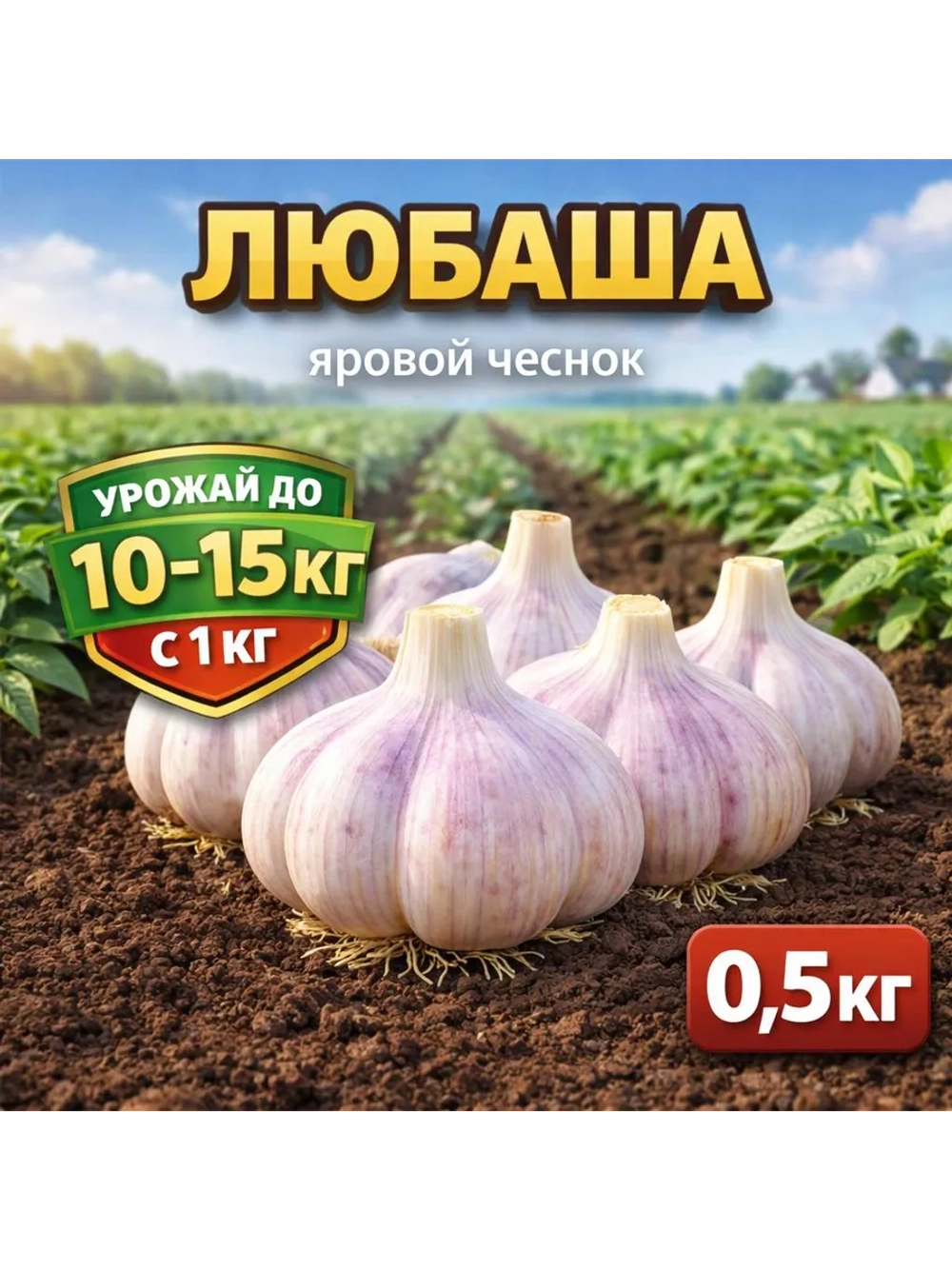 Чеснок яровой Любаша