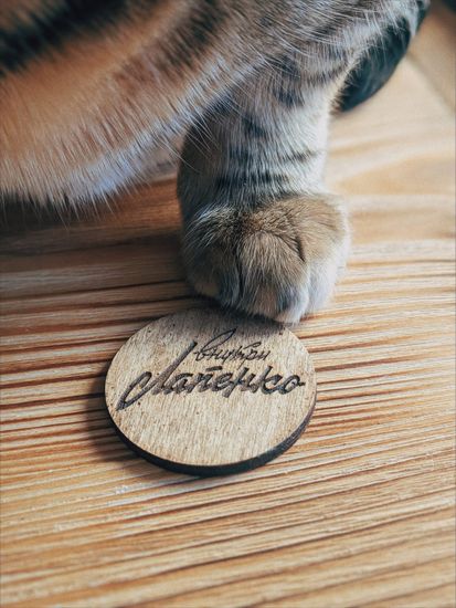 Настольная игра Внутри Лапенко