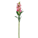 Львиный зев 59 см