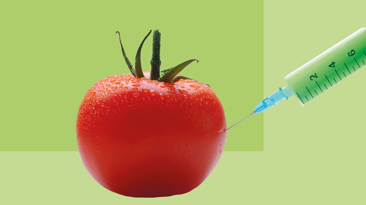 Что такое ГМО и почему это вызывает споры?