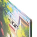 Дневник 1-11 класс 40 л., твердый, BRAUBERG, матовая ламинация, "Cute Cat", 107180