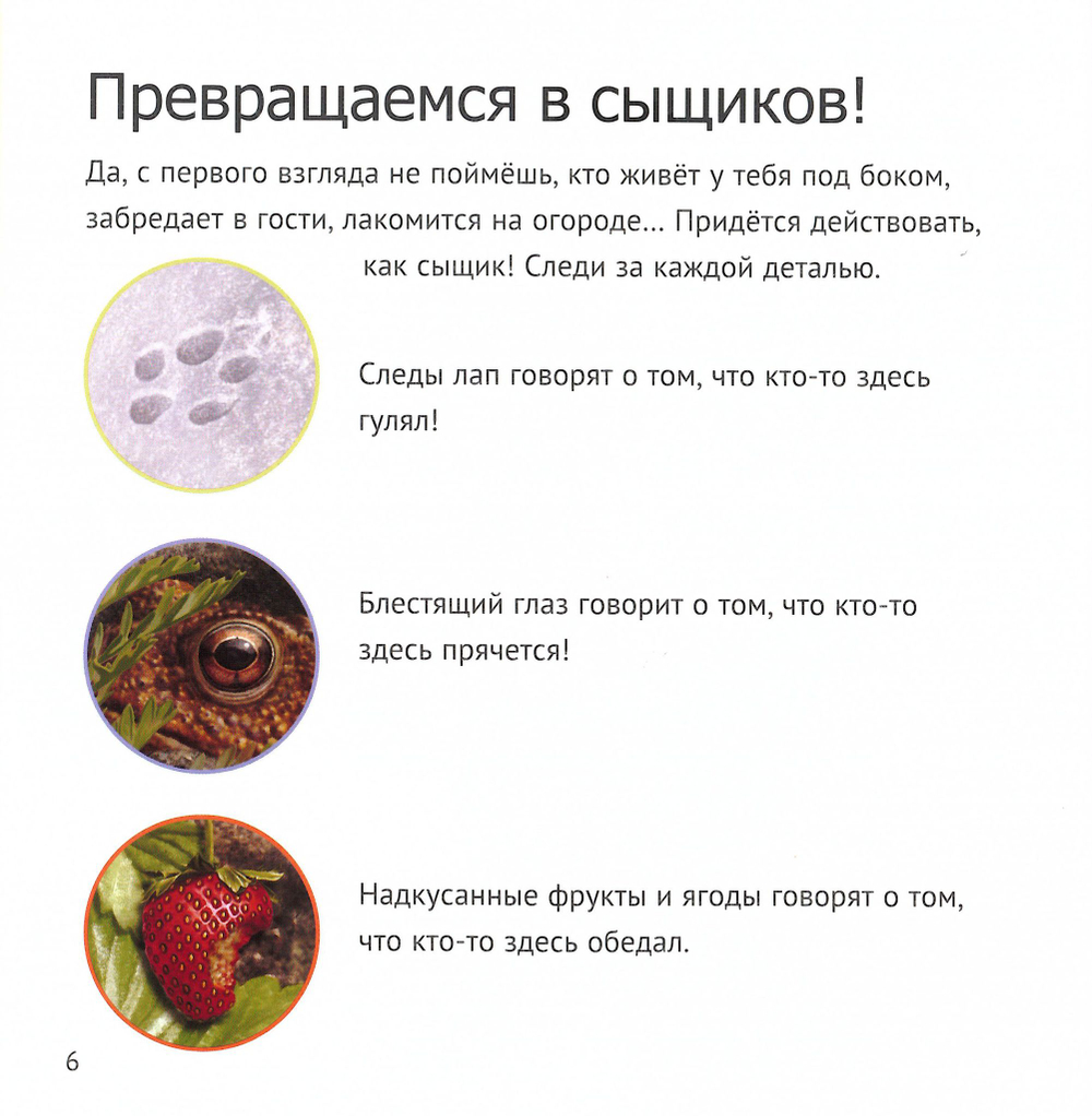 Кто живет у нас на даче. От мала до велика. Майк Анвин