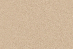 Велюр Prince / Принц