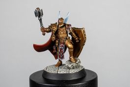 Миниатюра Magnetic Heroes: The Paladin