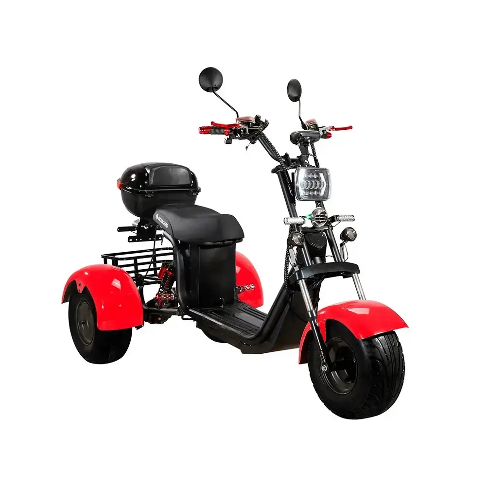 Skyboard TRIKE BR40-3000 PRO FAST OFF-ROAD